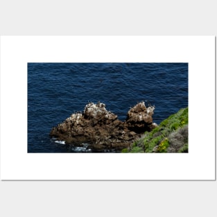 Channel Islands National Park Santa Cruz Island Posters and Art